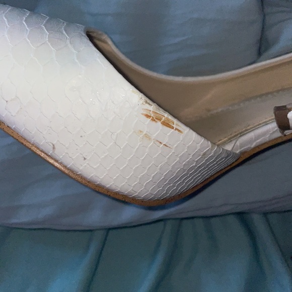 Powder Buff Embosed Snake - Picture 5 of 5